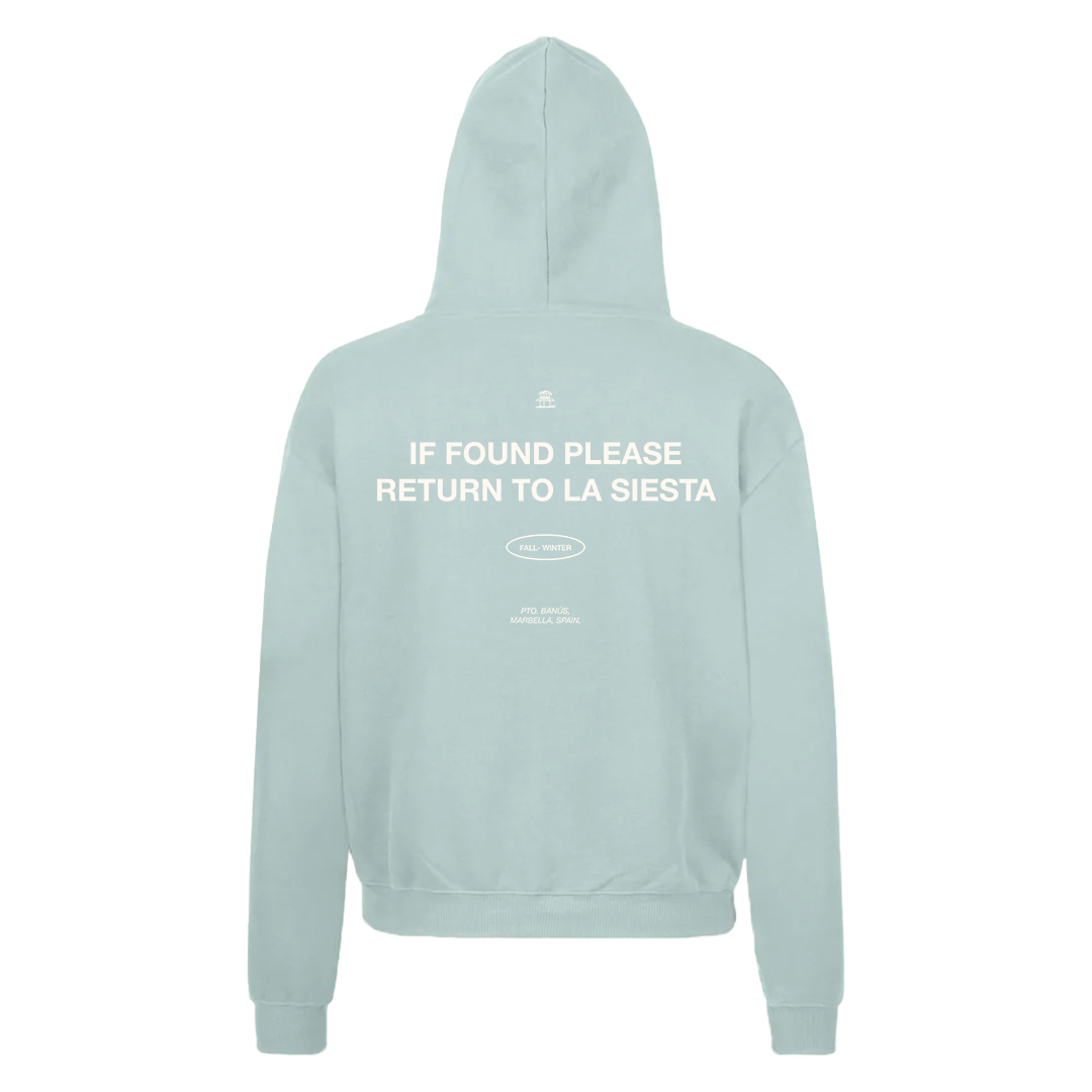 Burrowed_Hoodie_Back.png